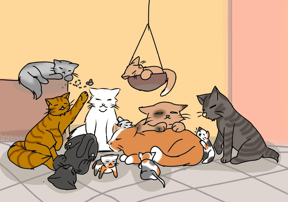 The cats in the cafe
